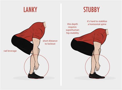 stubby legs meaning